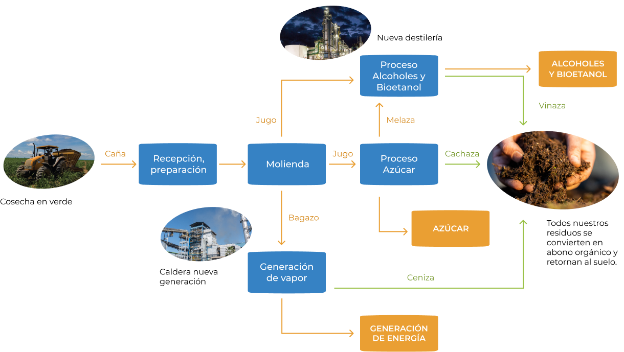 Bioeconomía